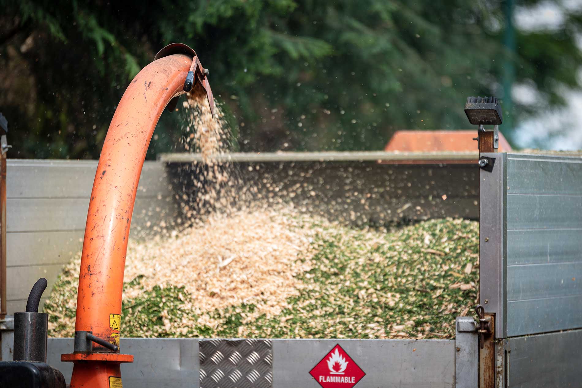 Chainsaw and Chipper Service at Fir Yew