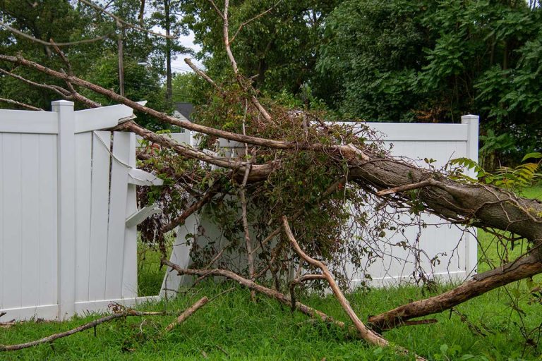 tree falling on fences causing damage