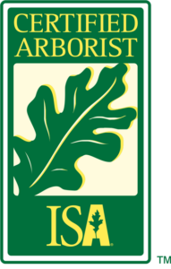 ISA logo